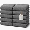 HomeBurg CORE 10-Piece Cotton Washcloths for Bathroom and Kitchen