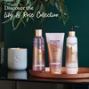Sanctuary Spa Lily & Rose Rich Hand Cream, Moisturiser, Body