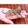 <Leopard (each color)> Pierce Jewelry Box (Black)
