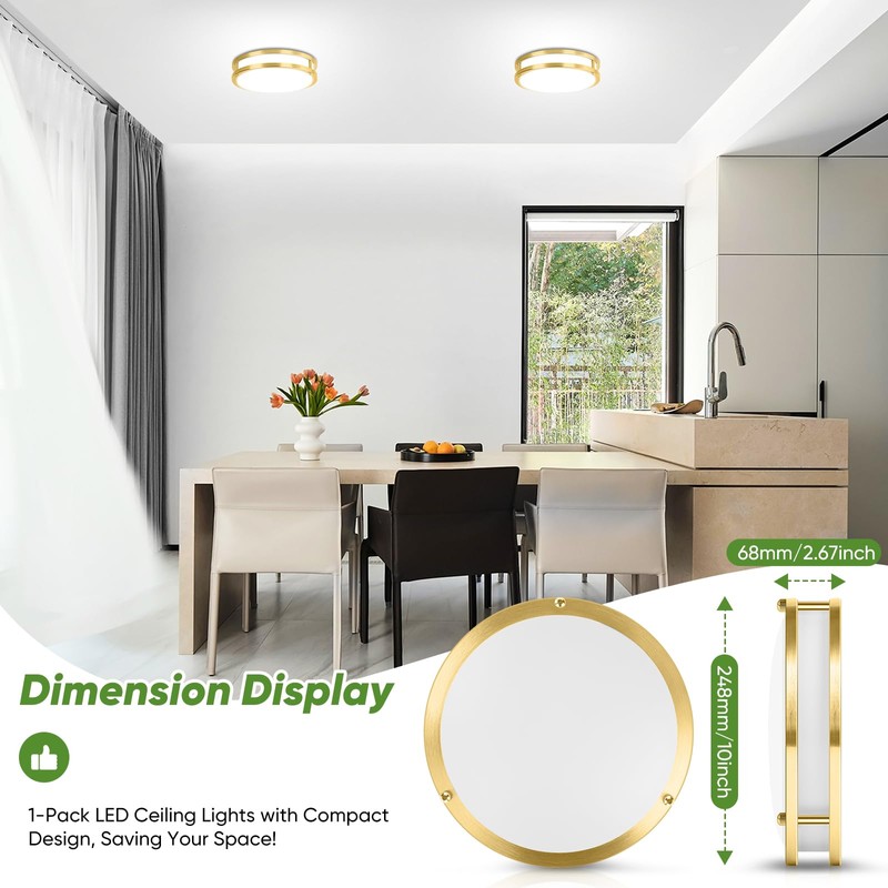 10 Inch LED Flush Mount Ceiling Light, Gold Kitchen Lighting