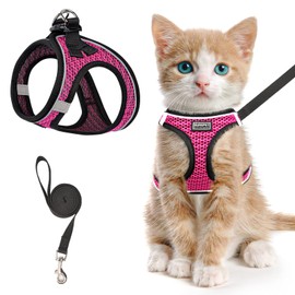 Cat Harness Leads Cat Collars Lead Set for Walking Escape Proof, Adjustable Kitten Vest Reflective Soft Mesh Puppy Harness for Outdoor, Comfort Fit, Easy to Control