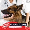 Geneflora Digestive Enzymes and Probiotics for Dogs, Cats, Rabbits and