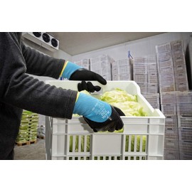 MAPA Professional TempIce 700 – Nitril-Schutzhandschuhe für extrem niedrige Temperaturen -10°C, im Einsatz durch Behörden und im Bereich Logistik, schwarz/blau, Größe 9 (1 Paar), Schutzhandschuhe