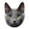 Magnet America Russian Blue Cat Magnet is 6.1" x 4.9"