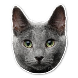 Magnet America Russian Blue Cat Magnet is 6.1" x 4.9" Made for Vehicles and Refrigerators