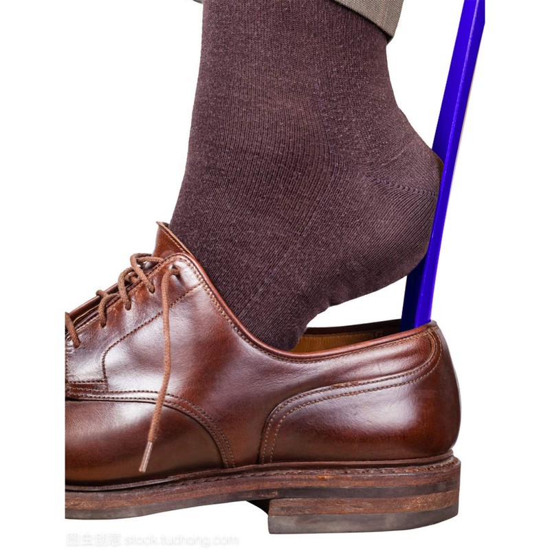 Ginkgo Shoe Horn 19.7 inch Long Handled Shoehorn, Premium ABS