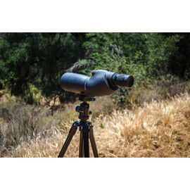 BARSKA AB12356 Level 20-60x65 Waterproof Spotting Scope for Target Shooting and Birding, Black, Model: AD12356