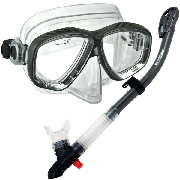 Snorkeling Purge Mask and Dry Snorkel Set, 285890-Titanium