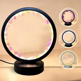 HoldOneLight Crystal Lamp Amethyst Raw Stone Ellipse Night Natural Healing Night Table Base USB Port 3 Colours Mode for Bedroom Bedside Lamp Office Home Decor Gift