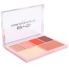 BYS Complexion Palette, Fire, 1 count