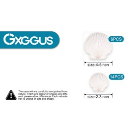 GXGGUS 20PCS Natural Scallop Shells for Crafts & Baking - 6 Large (4-5in) & 14 Medium (2-3in) Seashells - DIY Painting, Beach Wedding Decor, Resin Art, Coastal Home Decoration, Party Centerpieces