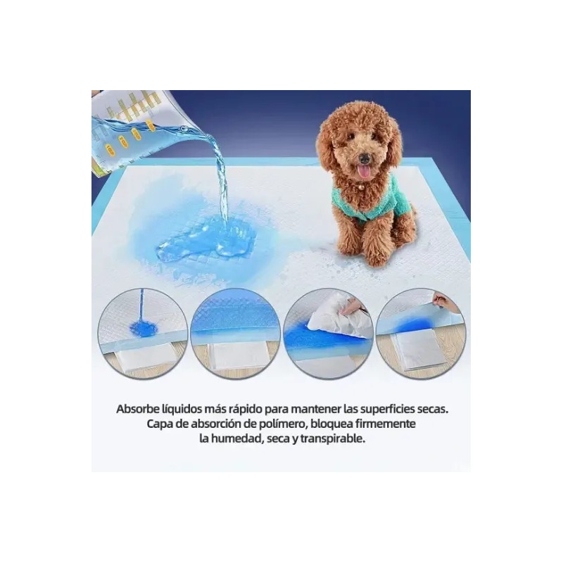 40 Piezas 60*60cm Tapete Entrenador Perro Azul