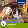 Vitakraft Guinea Pig Fruit & Honey Treat Sticks 2 Pack,