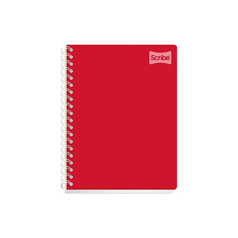 Scribe Cuaderno Profesional | Cuadro Grande | 100 hojas |