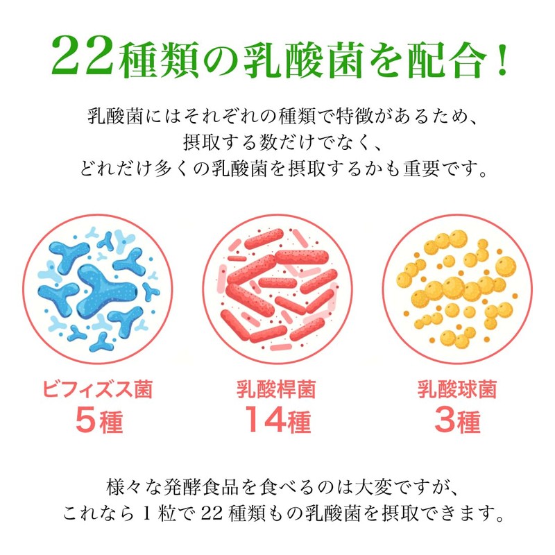 Lactic Acid Bacteria + Oligosaccharide Supplement (22 Types, Nano-type Lactobacillus