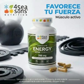 4 Seasons Nutrition | ABSOLUTE ENERGY | Creatina, L-carnitina & Complejo B | 700 mg | Suplemento Alimenticio | Fórmula Avanzada | Vegano, Sin Gluten, Sin Azúcar, Sin Soya | 240 Cápsulas