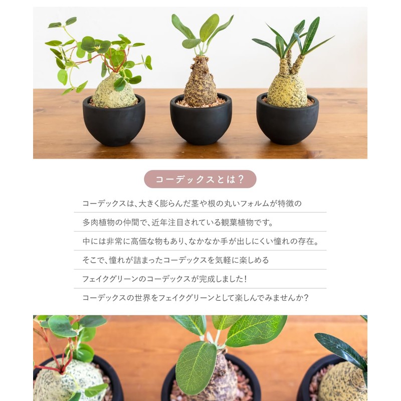 Fake Green Glacilis Codex Eklia Greenery Life Deodorizing Artificial Green