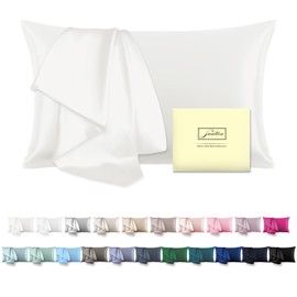 Mulberry Silk Pillow Cases Standard Size Silk Pillowcase with Zipper Soft Breathable Smooth Cooling Satin Silk Pillow Covers for Sleeping for Hair and Skin (Ivory,20"X 26",1Pcs)