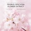 Mascarilla Sólida En Barra Ec Sakura, 40 G, Tipo Untable