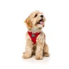 FuzzYard Rebel Red Step in Harness for Dogs (Large)