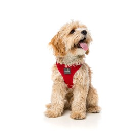 FuzzYard Rebel Red Step in Harness for Dogs (Large)