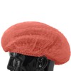100 x simply direct Red Disposable Hair Net/Mob Caps in