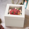 YYaaloa 8x8x8 Cake Boxes 20pcs 8 Inch with Window Clear