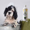 BotaniVet Certified Organic Manuka Honey Pet Shampoo 16 Oz -