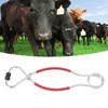 Cattle Bull Cow Nose Pliers Metal Punch Free Strong Traction