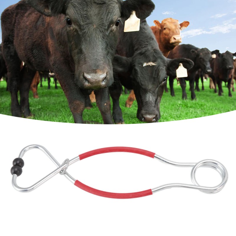 Cattle Bull Cow Nose Pliers Metal Punch Free Strong Traction