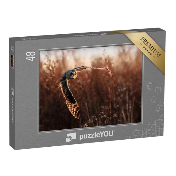 puzzleYOU: Puzzle 48 Pieces "Swamp Owl in Flight Hunting" -