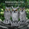 Hutisyoe 3-Pack Realistic Owl Statues for Outdoor Decor – Garden,