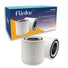 Flintar 2-Pack of AP005 H13 True HEPA Replacement Filter, Compatible