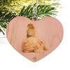 GRAPHICS & MORE Persian Kitten Cat and Chicken Chick Heart