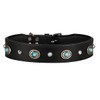 Michur Alonzo Dog Collar Leather Black Wide Leather Collar Blue