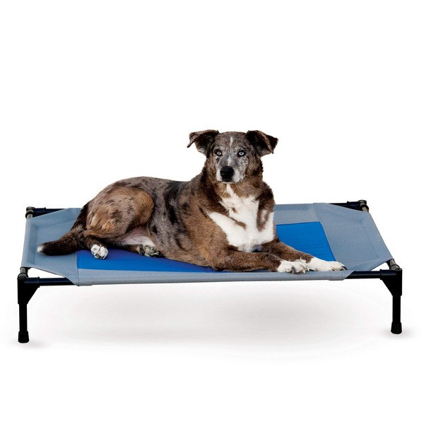 K&H Pet Products Coolin' Pet Cot, Elevated Dog Cooling Mat, Cool Dog Cot for Large Dogs, Dog Camping Gear, Outdoor Raised Dog Bed with Cooling Center - Gray/Blue, Large 30 X 42 X 7 Inches