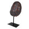Nautical Marine Faux Alligator Snapping Turtle Shell Sculpture With Pole