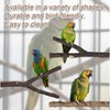 Bird Wood Perch Set, Wooden Parrot Stand Bird Cage Perch