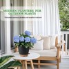 Fielda 2 Pack 8 Inch Pots for Plants Indoor, Plastic