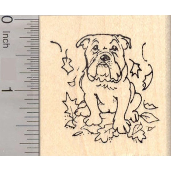 RubberHedgehog Bulldog Dog Sitting in falling Autumn Leaves Thanksgiving Rubber
