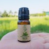 mocnhien Peppermint Essential Oil Aroma Oil Essential Oil 100% Natural