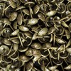 Decotacks® Woven Upholstery Nails/Tacks 7/16" - 100 Pcs [Antique Brass