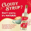 ChocZero Sugar Free Vanilla Syrup for Coffee - Keto Flavoring