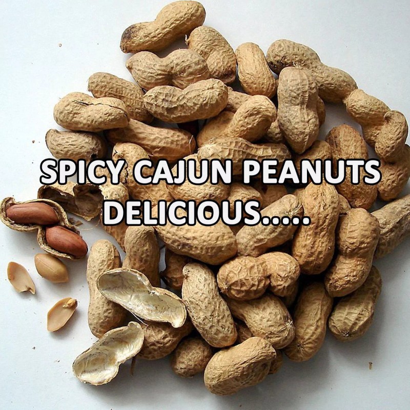 Hampton Spicy Peanuts in Shell Hot Nuts - (1 Pack)