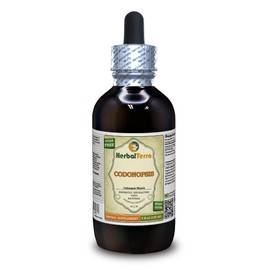 Codonopsis (Codonopsis Pilosula) Tincture, Organic Dried Root Liquid Extract (Brand Name: HerbalTerra, Proudly Made in USA) 4 fl.oz (120 ml)