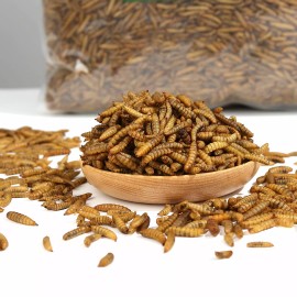 euchirus 2lb Reptile Food Dried Black Soldier Fly Larvae Treats for Bearded Dragon 5lb - 2