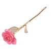 24K Gold Rose Dipped Golden Leaves Girlfriend Wife Valentine's Day