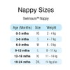 Zoggs Reusable Neoprene Baby Swim Nappy (Pink/Purple) 3-6 Months 4-7kg
