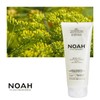 Noah Natural Hair 5.1 Volumizing Anti-Humidity Texturizing Gel with Mint
