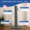Cat Craft Bobcat Cat Scratching Post for Indoor Cats, Tall
